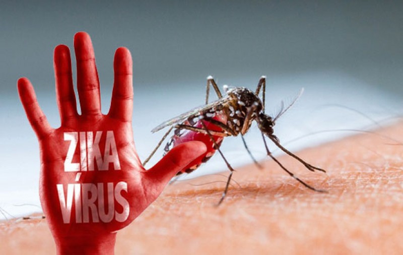 virus-zika-1.jpg