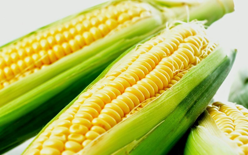 corn3.jpg