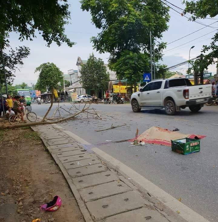 tai-nan-tuyen-quang.jpg