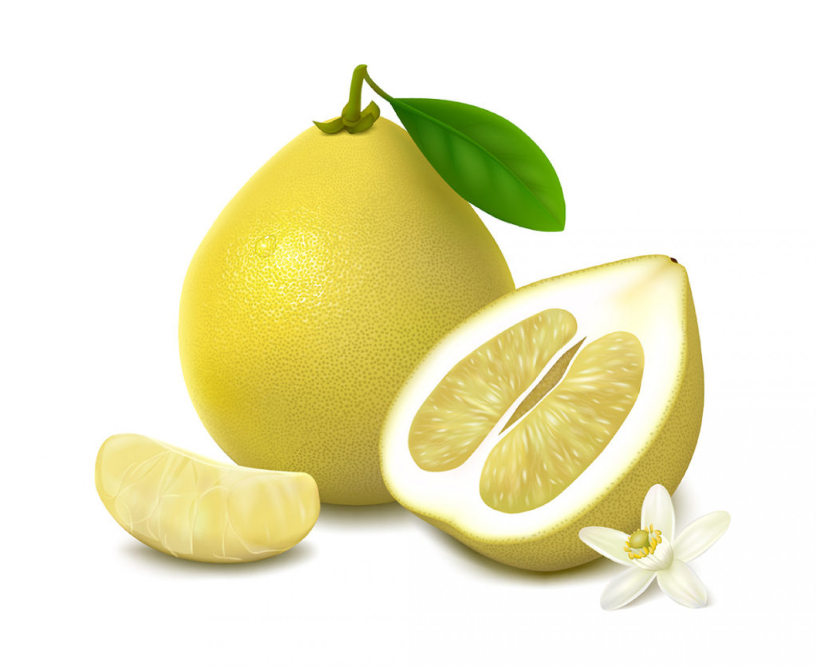 vector-yellow-pomelo-fruit-1024x836.jpg
