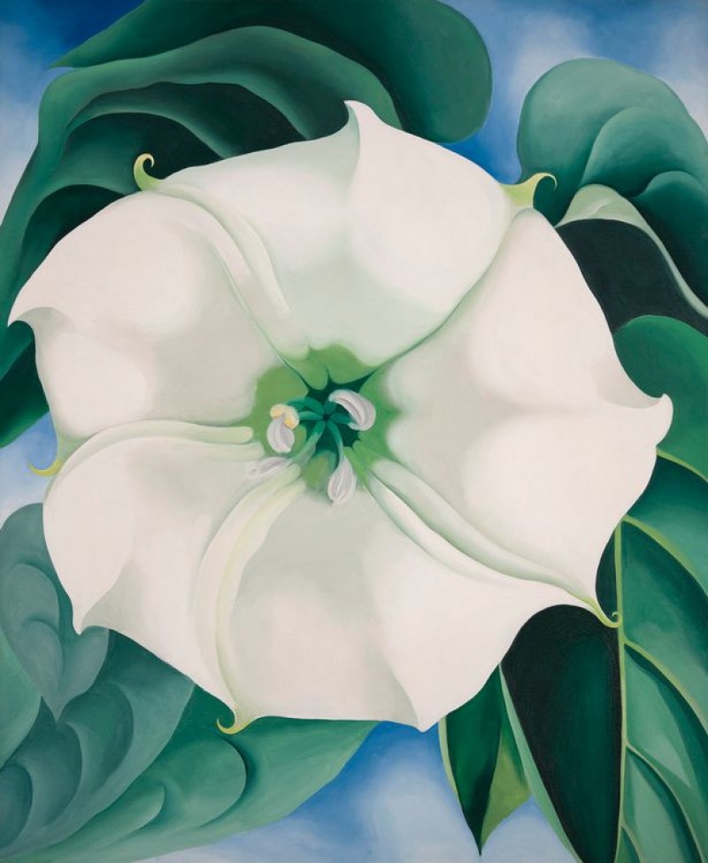 bc-tranh-white-flower-hoa-trng-c-v-trong-nm-1932-l-bc-tranh-t-gi-nht-ca-n-ha-s.jpg