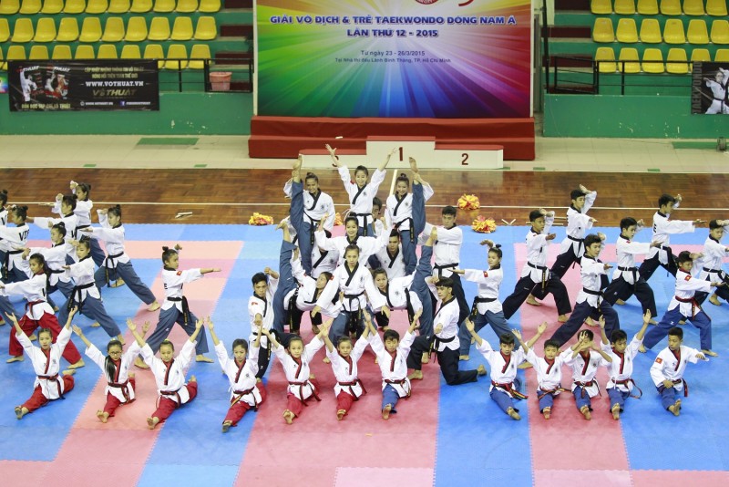 v-nhc-c-a-vo-chng-trnh-hun-luyn-taekwondo-vit-nam.JPG