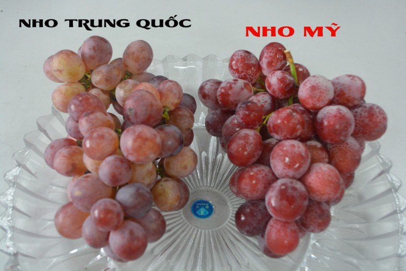 nho-my-va-nho-trung-quoc-1.jpg