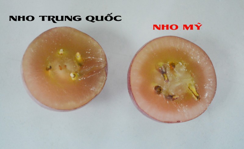 nho-my-va-nho-trung-quoc-3.jpg