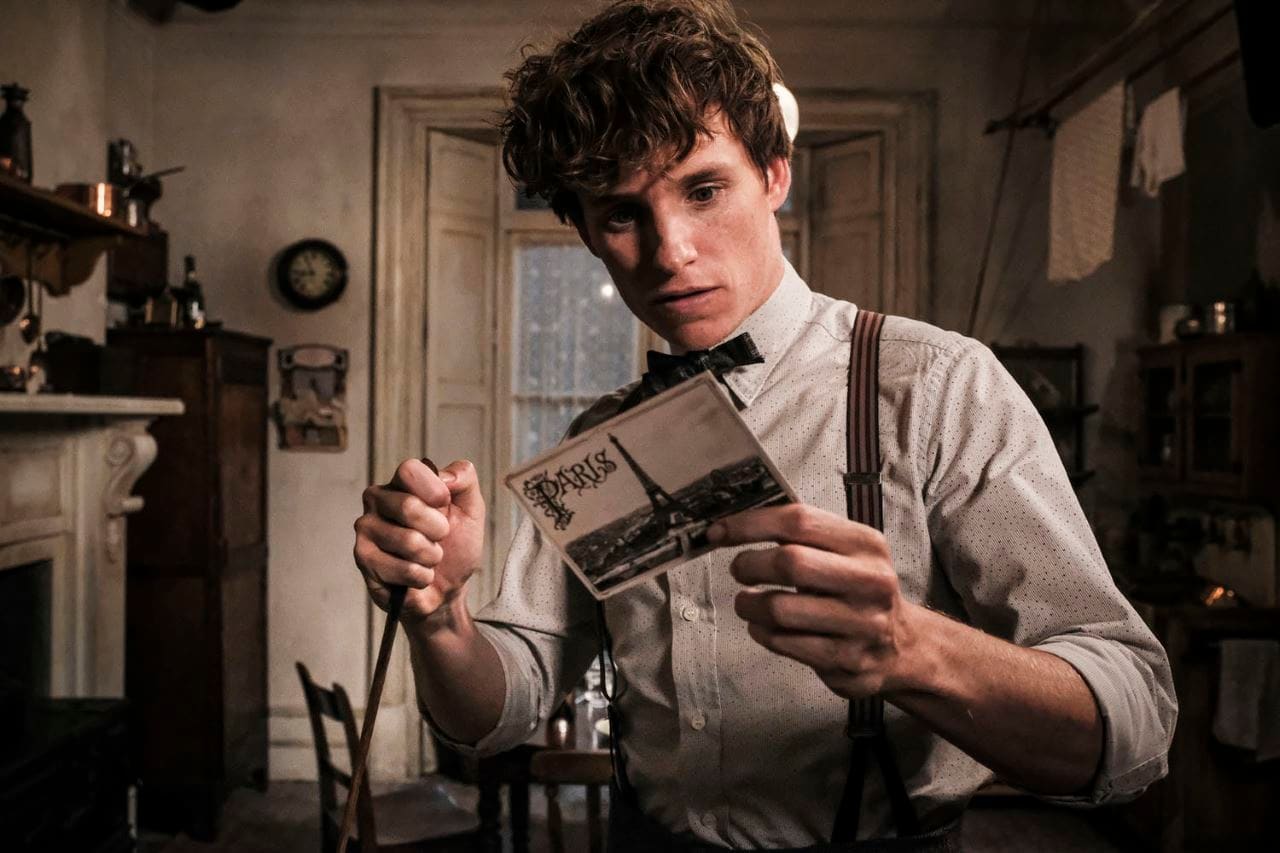 fantastic-beasts-crimes-of-grindelwald-eddie-redmayne_1542375062508.jpg