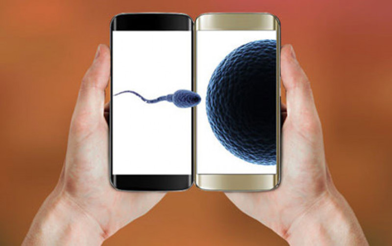 test_sperm_with_smartphone_hxrc.jpg