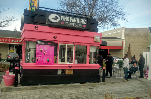 pink_pantherz.jpg