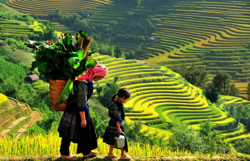 dc_150826_sapa.jpg