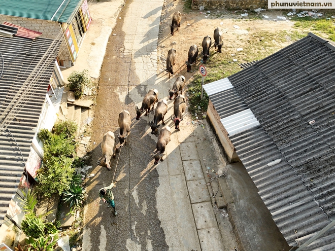 "Nhà nghỉ trâu bò" giữa đại ngàn và gánh mưu sinh của phụ nữ dân tộc- Ảnh 2.