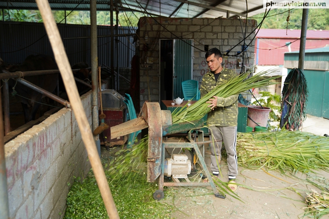 "Nhà nghỉ trâu bò" giữa đại ngàn và gánh mưu sinh của phụ nữ dân tộc- Ảnh 4.