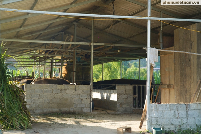"Nhà nghỉ trâu bò" giữa đại ngàn và gánh mưu sinh của phụ nữ dân tộc- Ảnh 5.