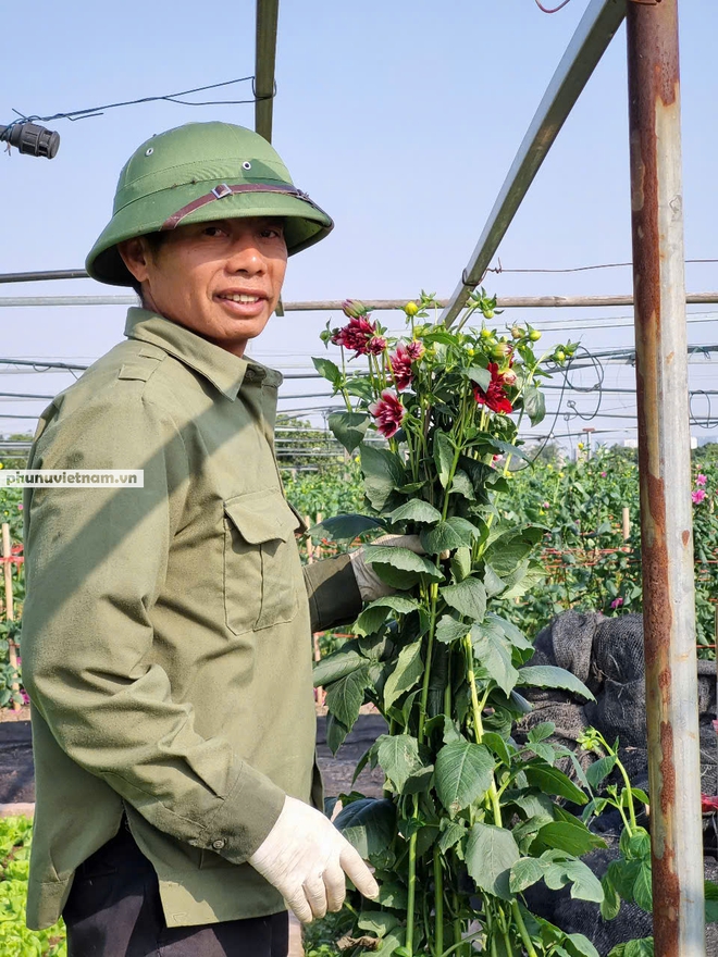 Chiều 28 Tết, làng hoa Tây Tựu vẫn “hút khách” - Ảnh 4.