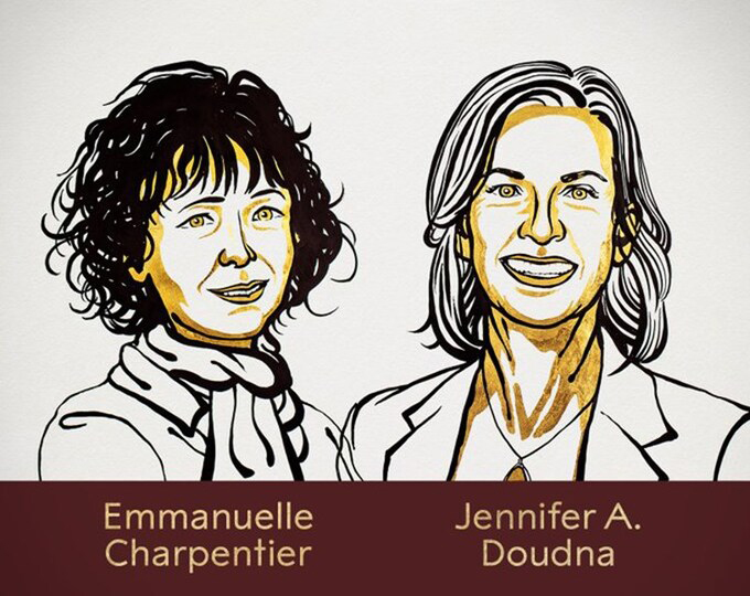 Nobel Hóa học 2020 gọi tên hai nhà khoa học nữ nghiên cứu chỉnh sửa gene - Ảnh 1.