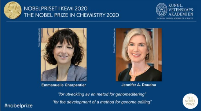 Nobel Hóa học 2020 gọi tên 2 nhà khoa học nữ nghiên cứu chỉnh sửa gene - Ảnh 2.