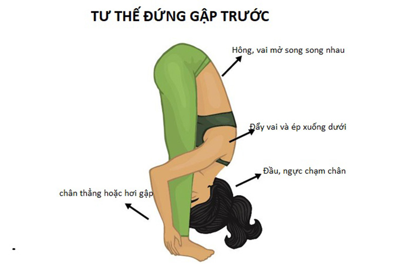 Top 6 bài tập Yoga trị viêm xoang hiệu quả tại nhà ai cũng nên biết - Ảnh 2.