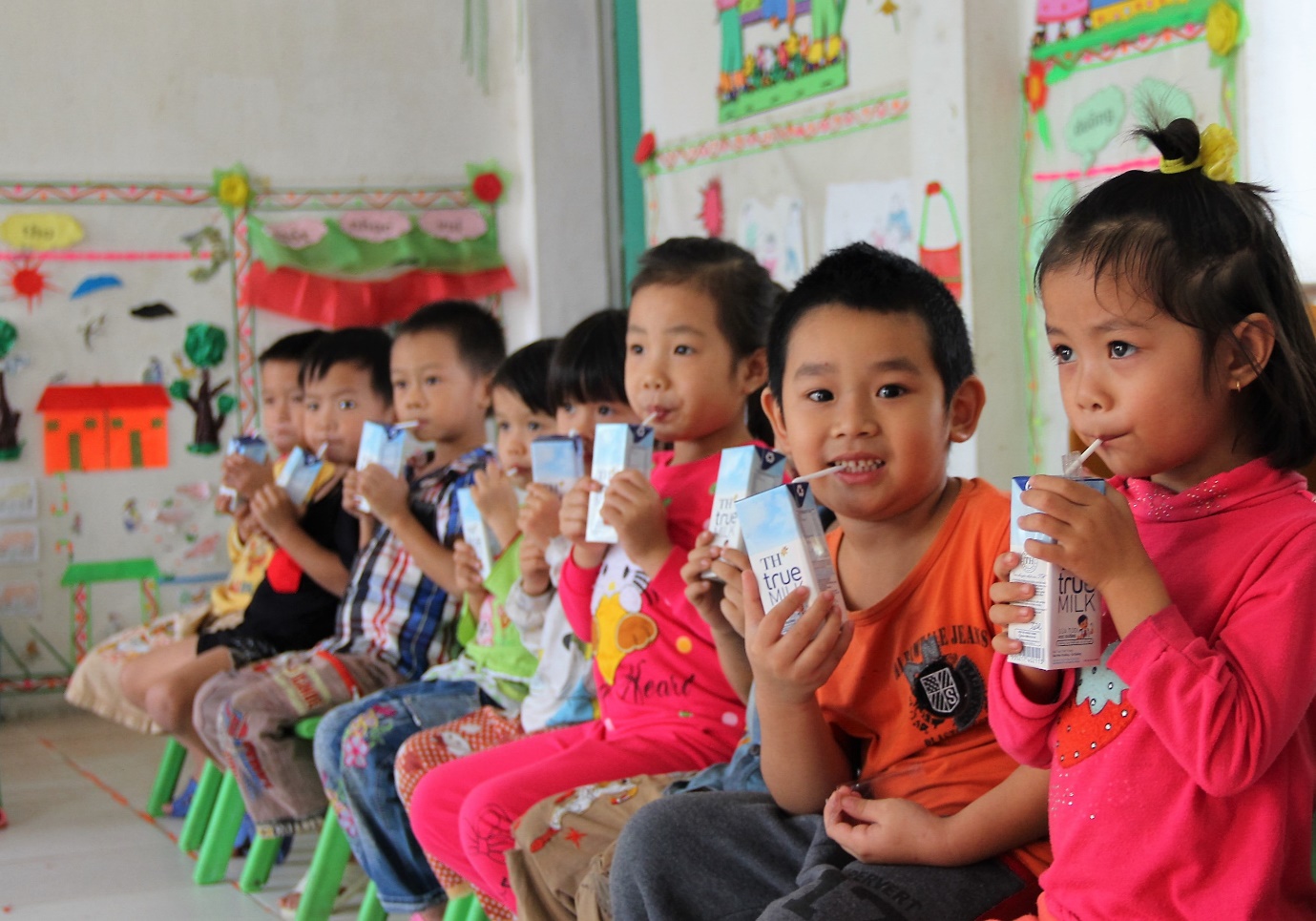 Cải thiện kỹ năng thực hành dinh dưỡng để nâng cao tầm vóc Việt - Ảnh 3.