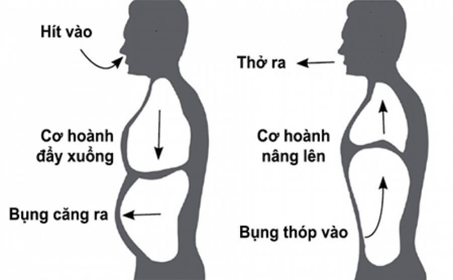 Điểm danh 5 bài tập vật lý trị liệu cho người bị bệnh COPD đơn giản có thể thực hiện tại nhà - Ảnh 1.