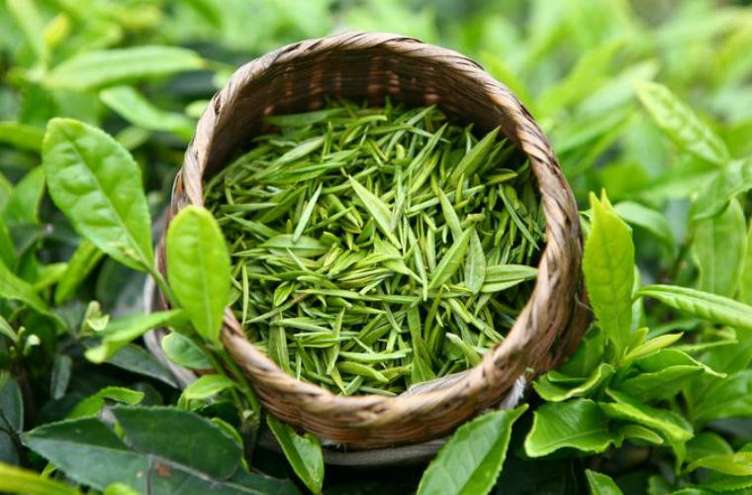 Từ bỏ ngay 3 cách uống trà gây hại thận, hại dạ dày mà người Việt thường mắc phải, thậm chí gây ung thư - Ảnh 4.
