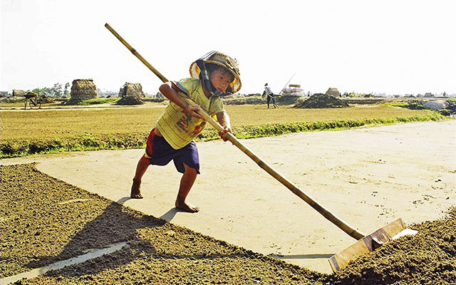 Tỷ lệ lao động trẻ em của Việt Nam thấp hơn 2% so với trung bình của khu vực - Ảnh 2.