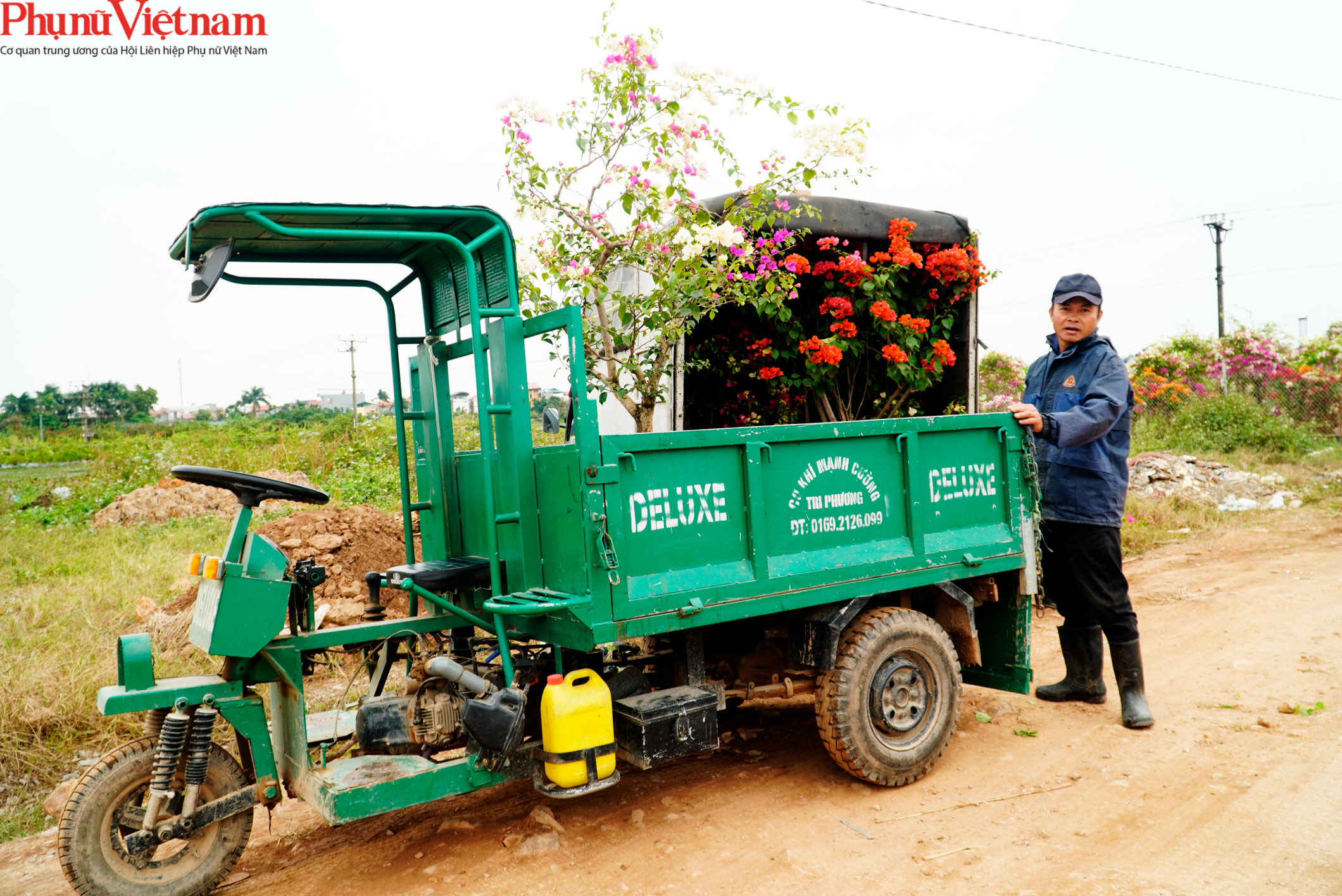 Thủ phủ hoa giấy đất Bắc hối hả đón Xuân Tân Sửu - Ảnh 14.