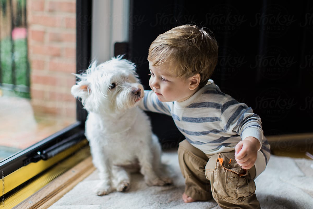 Lây nhiễm giun sán từ thú cưng, cần làm gì để phòng tránh? - Ảnh 3.