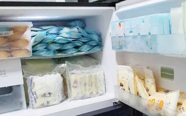 200 phụ nữ Malaysia ở Singapore gửi 7 tấn sữa mẹ đông lạnh về quê nuôi con - Ảnh 1.