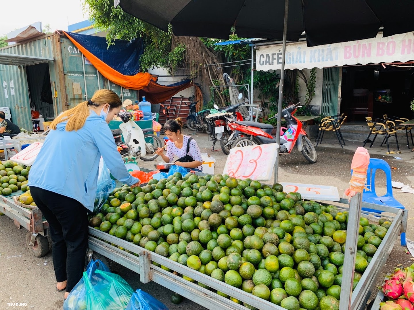 Đầu mùa vải giá 50.000 đồng/kg nhưng vị còn khá chua, cam Sài Gòn xuống chợ giá rẻ - Ảnh 6.