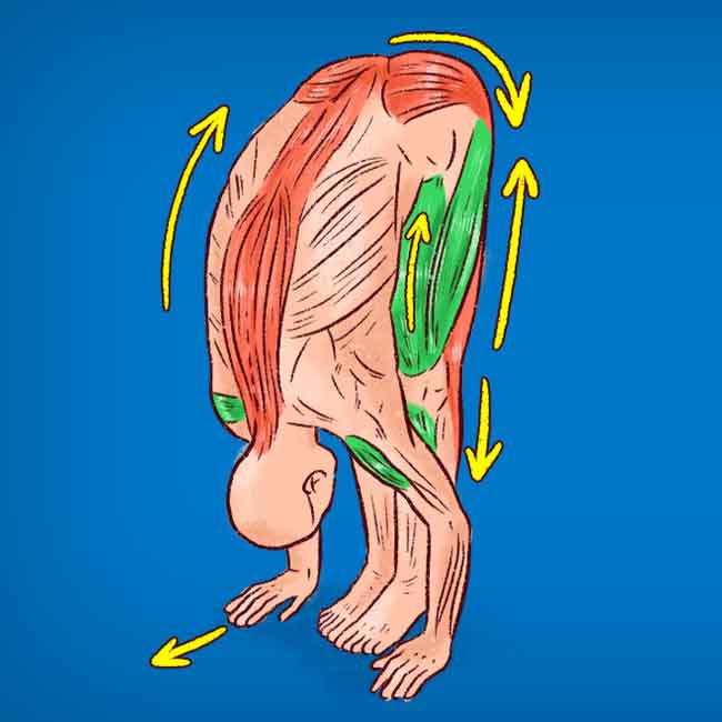 Những môn thể thao giúp kéo dài tuổi thọ - Ảnh 5.