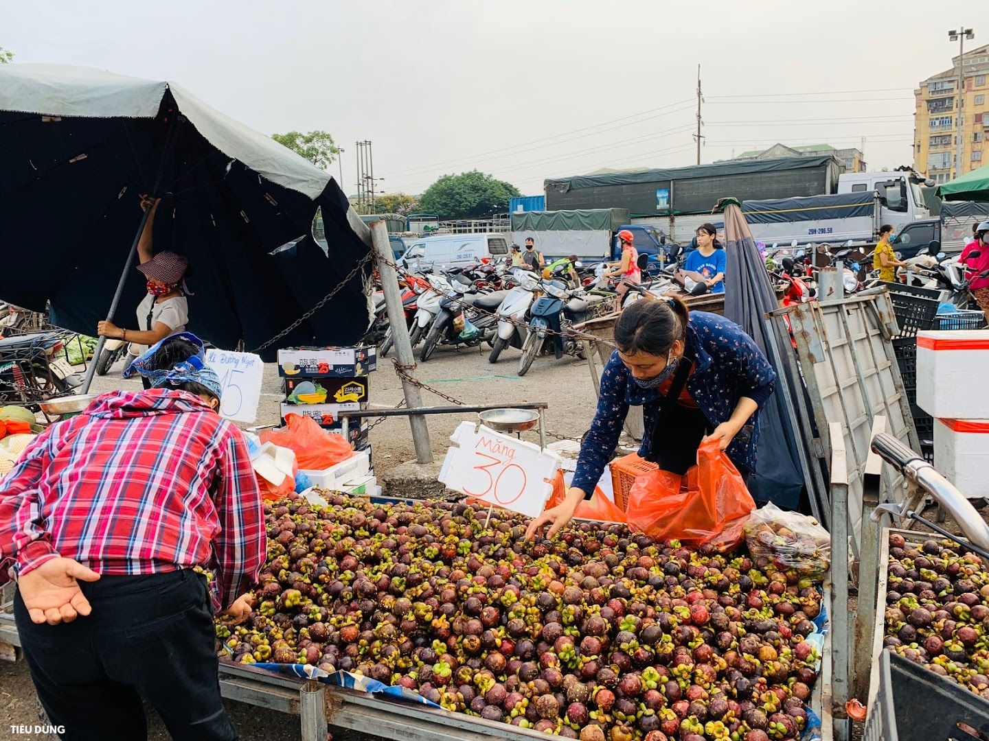 Măng cụt Thái giá 30.000 đồng/kg bán bạt ngàn ở chợ đầu mối, người tiêu dùng chuộng thi nhau &quot;nhặt về&quot; - Ảnh 5.