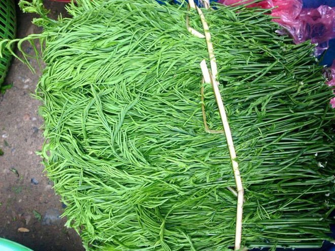 Loại rau thối um nhưng là đặc sản Tây Bắc và dễ gây nghiện, ở Hà Nội bán 90.000đ/mớ - Ảnh 2.