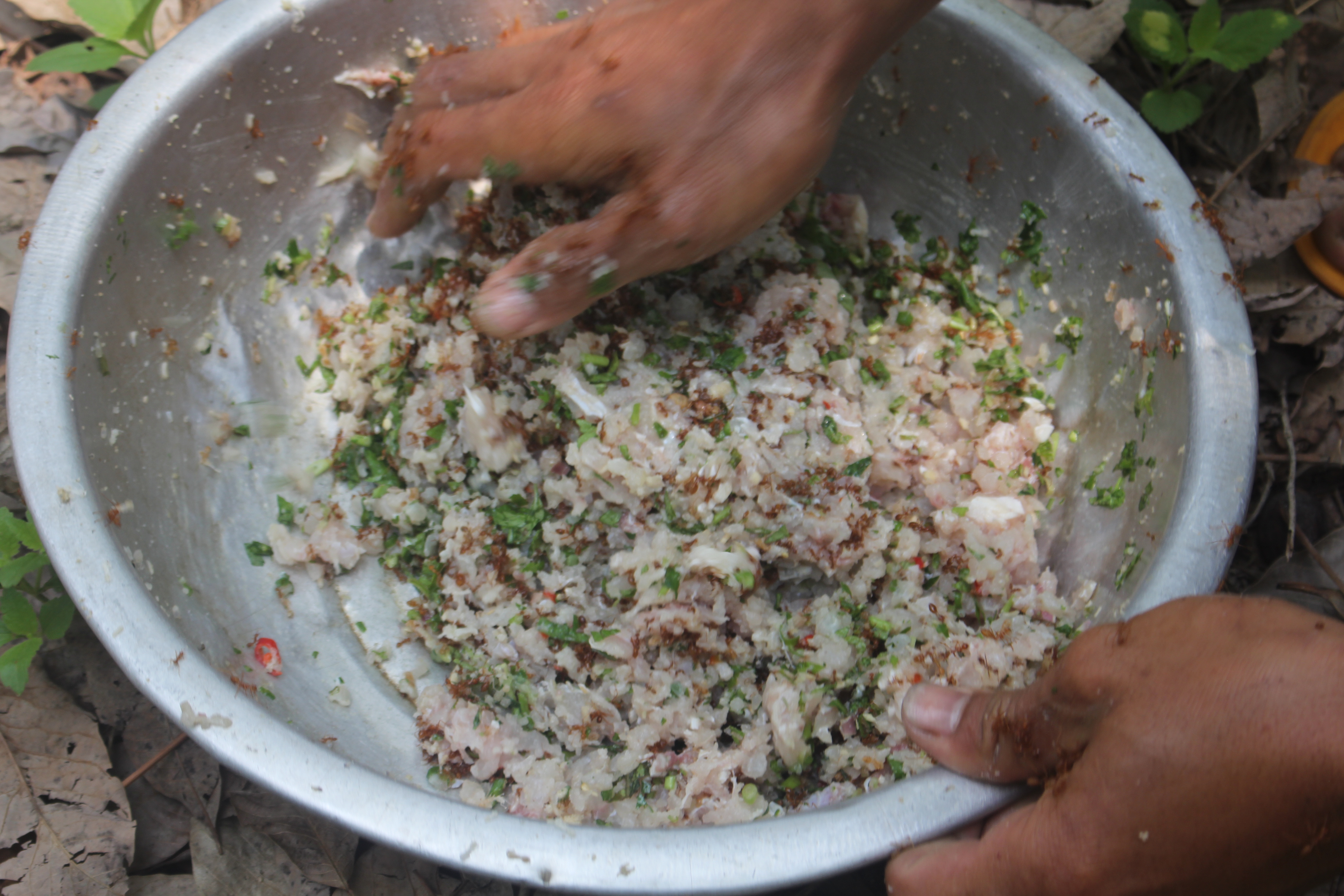 Công thức làm món gỏi cá kiến vàng độc lạ của người Rơ Măm - Ảnh 2. Công thức làm món gỏi cá kiến vàng độc lạ của người Rơ Măm - Ảnh 2.