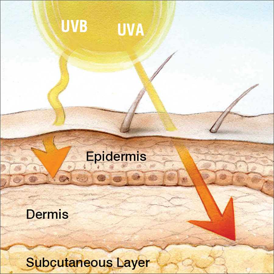 Đi ô tô không hoàn toàn bảo vệ bạn khỏi tia UV gây ung thư da, đây là những cách phòng tránh - Ảnh 3.