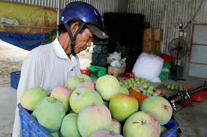 7 loại quả cứ tưởng chỉ có theo mùa, giờ mùa nào bà nội trợ cũng có thể dễ dàng mua - Ảnh 3.