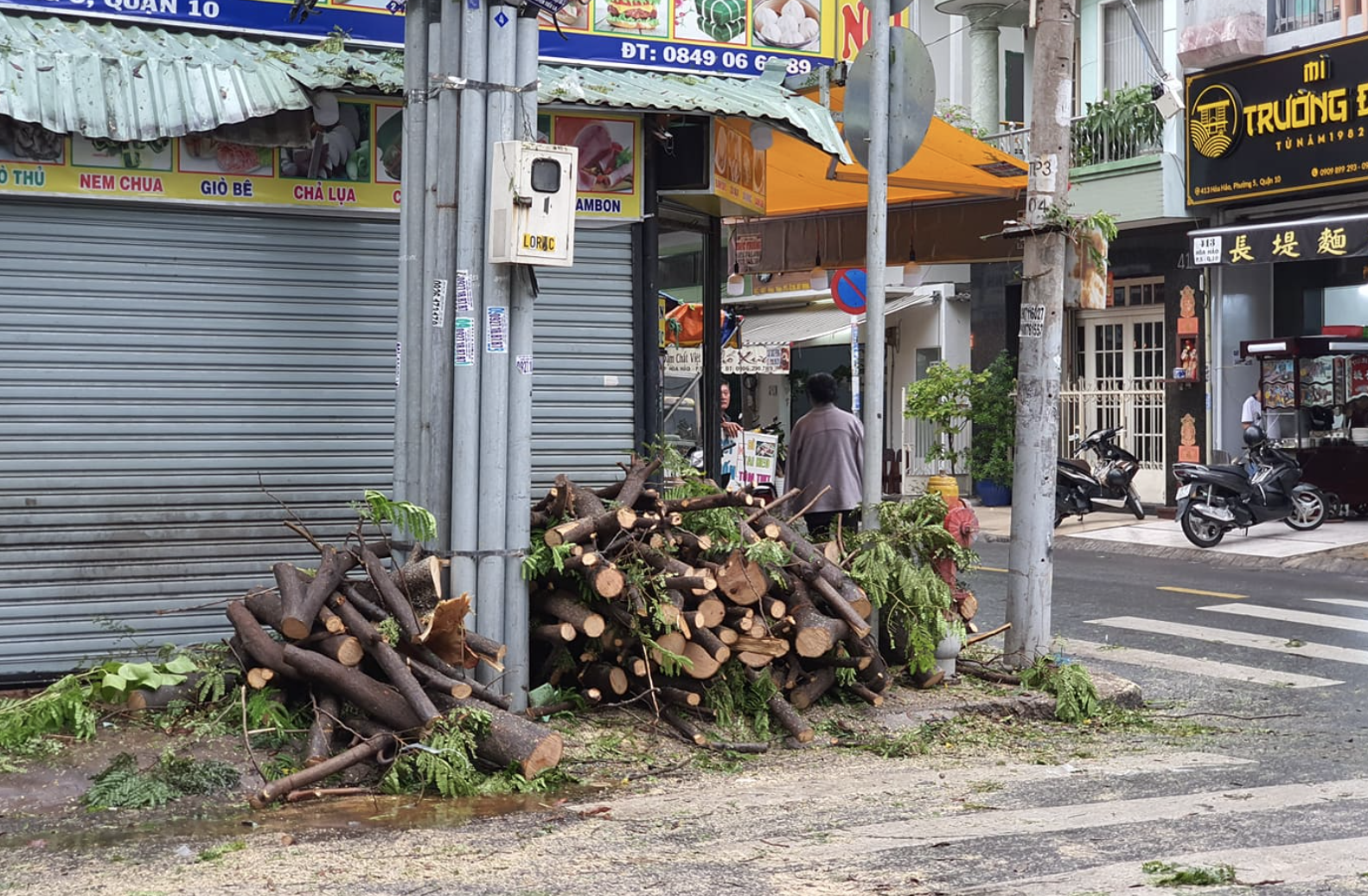 Mưa lớn kèm gió mạnh khiến nhiều cây phượng lại bật gốc, 3 nữ sinh ở Đồng Nai bị đè xay xát người - Ảnh 1.