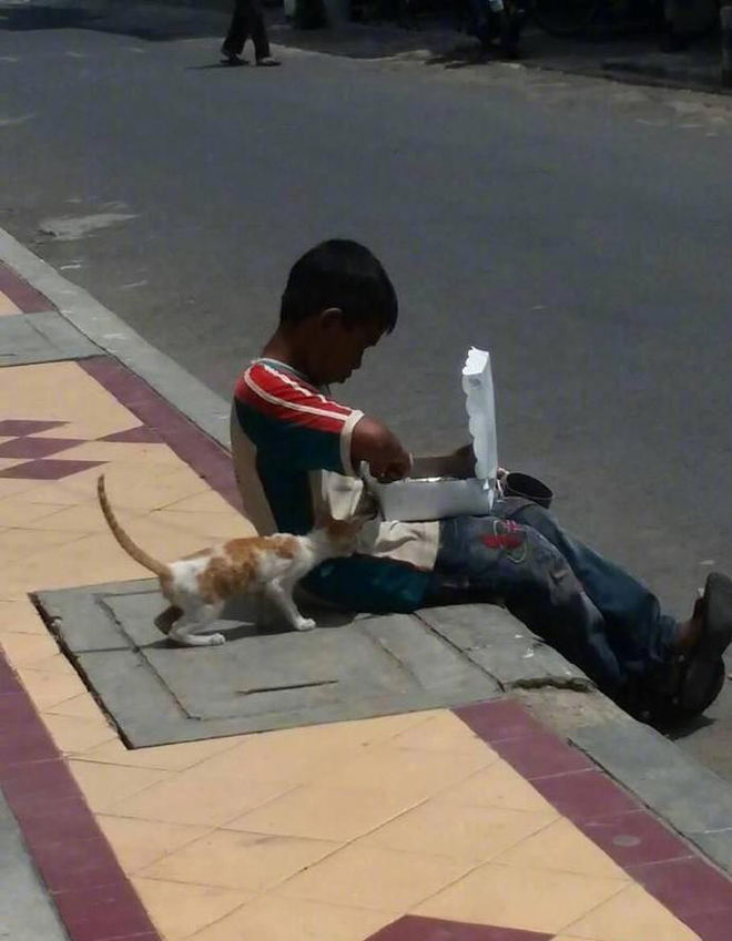 Cậu bé lem luốc ngồi bệt trên vỉa hè giữa trời nắng, tay bốc thức ăn nhưng lại có hành động cực đặc biệt với chú mèo lạ khiến bao người xúc động - Ảnh 2.