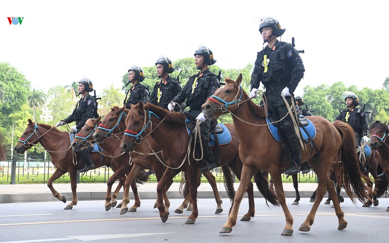 Cảnh sát cơ động Kỵ binh diễu hành ra mắt trước Đại biểu Quốc hội - Ảnh 7.