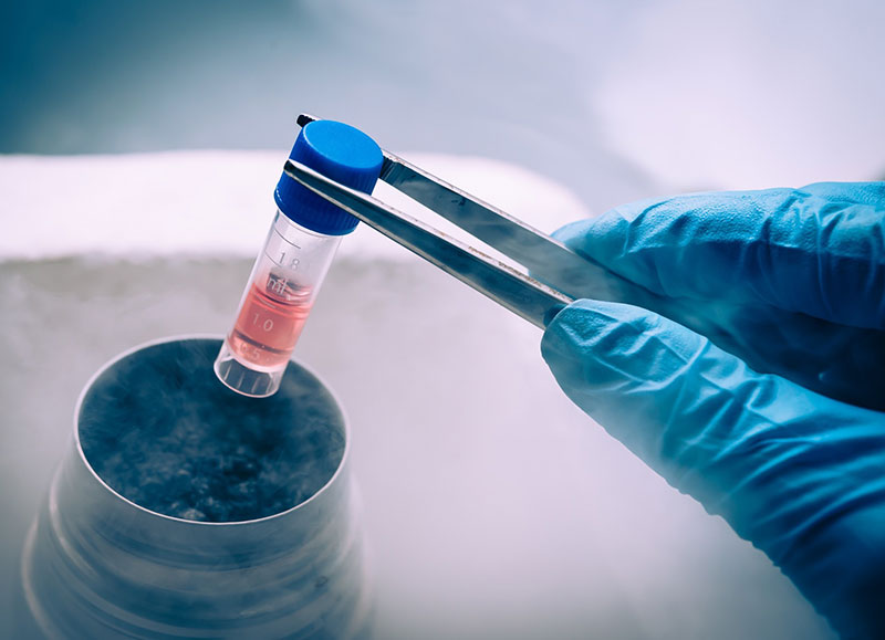 Tế bào gốc là gì và tác dụng của tế bào gốc đối với chữa bệnh - Ảnh 2.