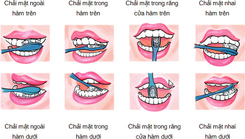 Đánh răng hàng ngày nhưng không phải ai cũng biết đánh răng đúng cách - Ảnh 3.