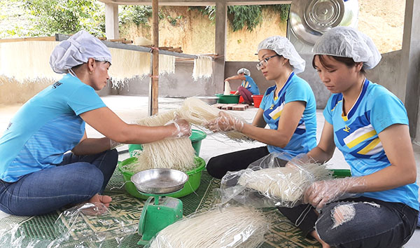 Tuyên Quang: Khuyến khích các ý tưởng kinh doanh, đảm bảo bình đẳng trong lĩnh vực kinh tế - Ảnh 1.