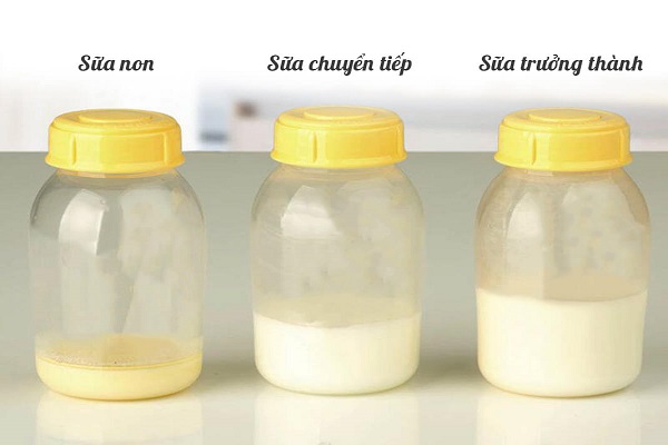Giúp mẹ tìm hiểu bí quyết làm thế nào để sữa mẹ đặc và thơm  - Ảnh 1.