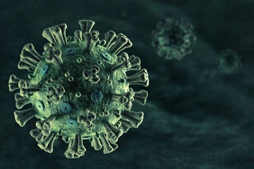 Chuyên gia nói gì về biến chủng virus SARS-Cov-2 mới ghi nhận ở Việt Nam? - Ảnh 1.