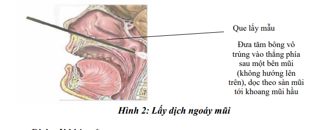 Trung Quốc bắt đầu xét nghiệm nhiễm virus nCoV qua đường “hậu môn”, các chuyên gia nói gì? - Ảnh 3.