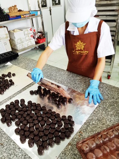 Từ khởi nghiệp đến nâng tầm cho chocolate Việt  - Ảnh 3.