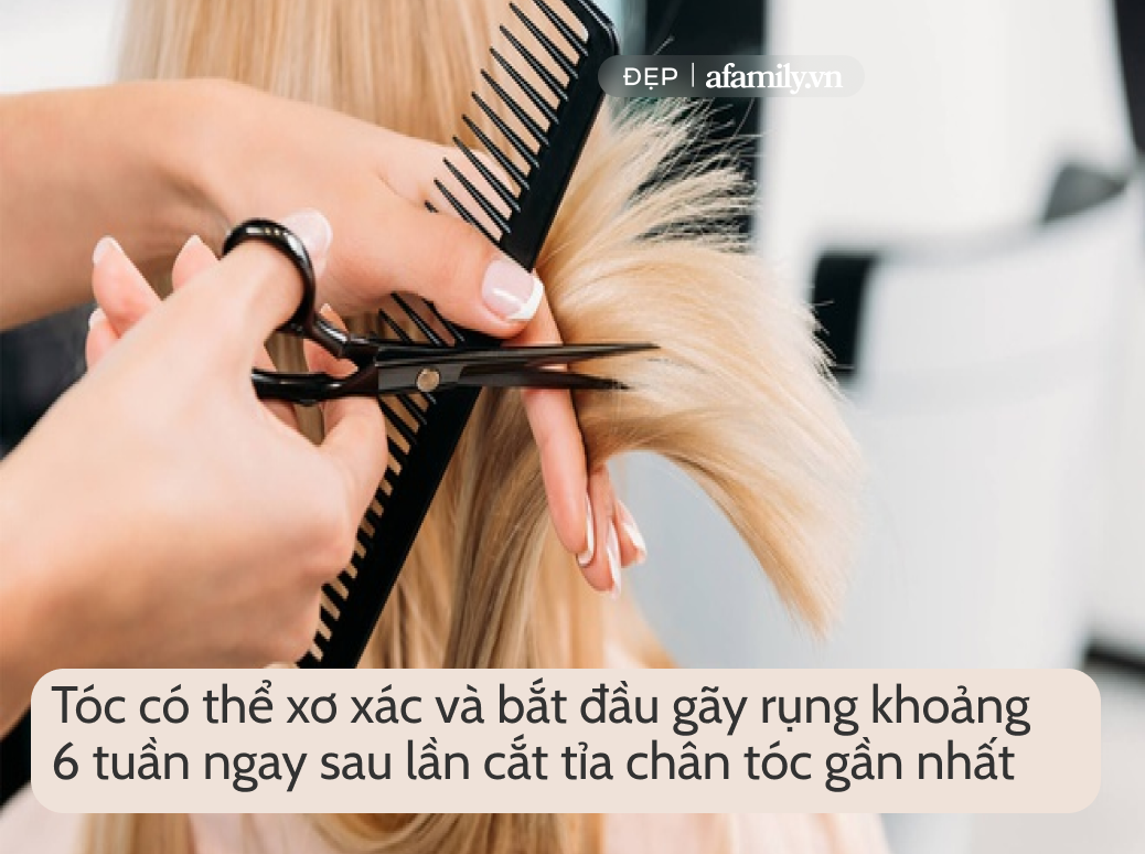 7 lý do khiến mái tóc bạn khô xơ quanh năm chứ không riêng gì mùa hanh khô - Ảnh 6.