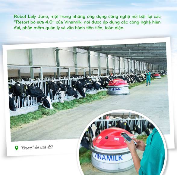 Vinamilk: 15 năm xây hệ thống trang trại bò sữa với &quot;bộ sưu tập&quot; tiêu chuẩn quốc tế - Ảnh 8.