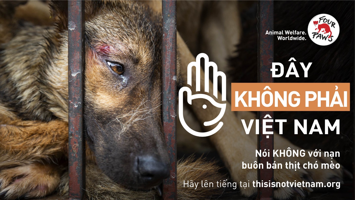 FOUR PAWS kêu gọi người dân Việt Nam phản đối buôn bán thịt chó, mèo - Ảnh 2.