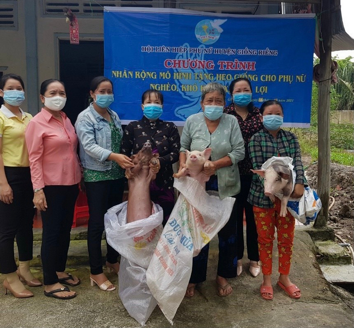 Kiên Giang: Tổ chăn nuôi heo phát triển kinh tế trong bối cảnh dịch Covid-19 - Ảnh 1.