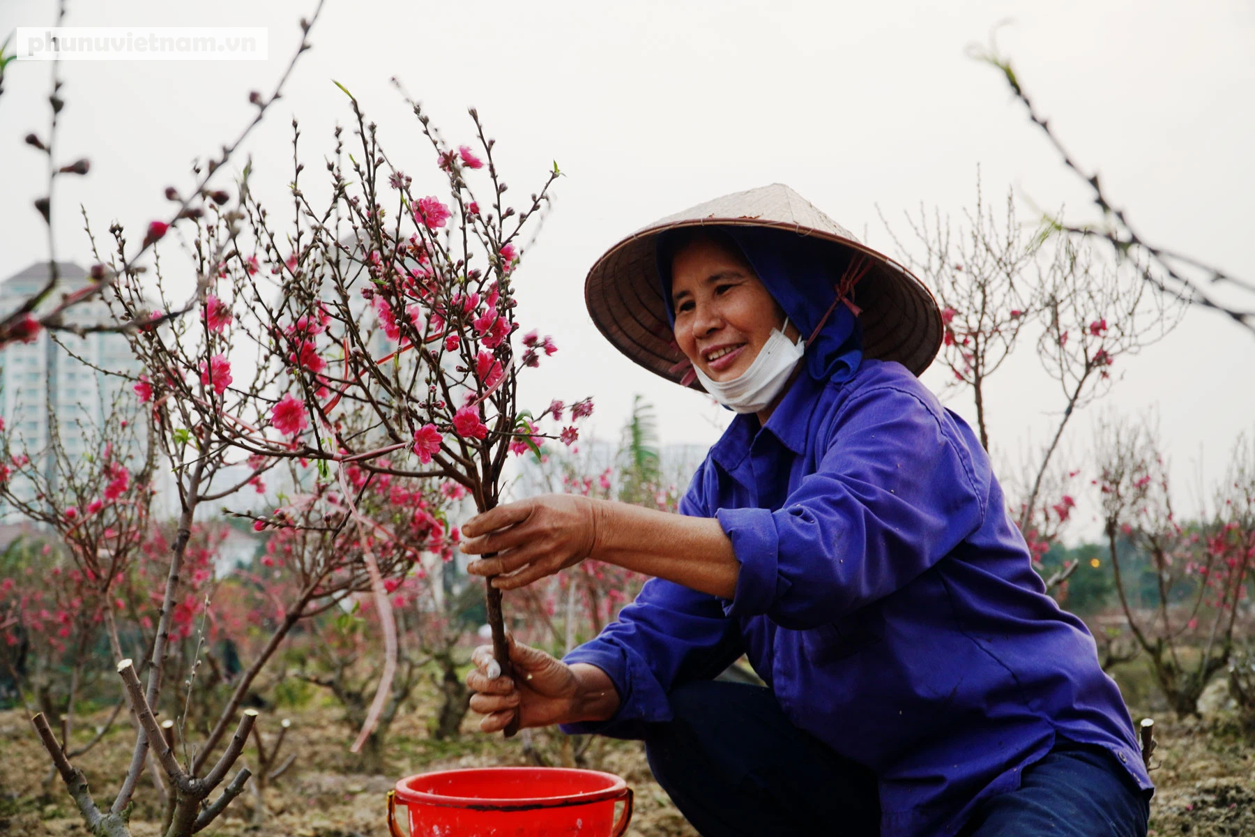 Ước nguyện ngày đầu năm, mong dịch bệnh Covid-19 sớm được kiểm soát - Ảnh 1.