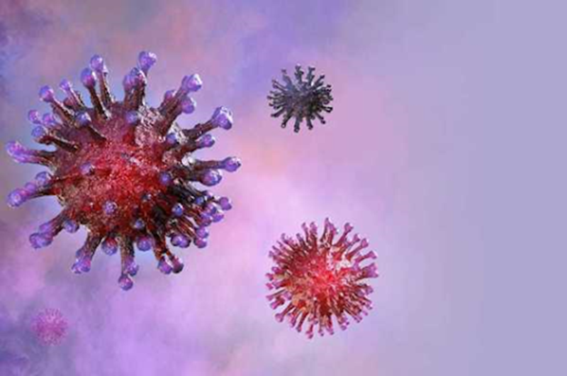 Có giới hạn nào về số lượng virus SARS-CoV-2 có thể đột biến (biến thể COVID-19) không? - Ảnh 3.