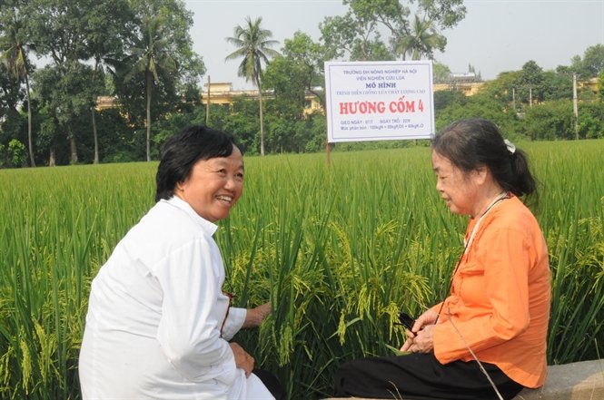 Chân dung 10 nữ khoa học đầu tiên nhận giải thưởng Kovalevskaia - Ảnh 2.